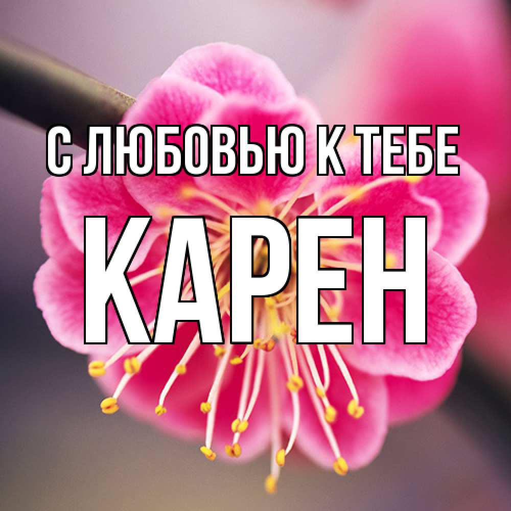 Открытка  с именем. Карен, С любовью к тебе  