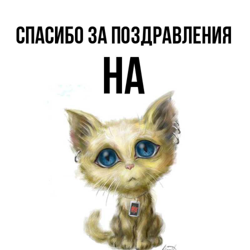 Картинка Спасибо за поздравления, на
