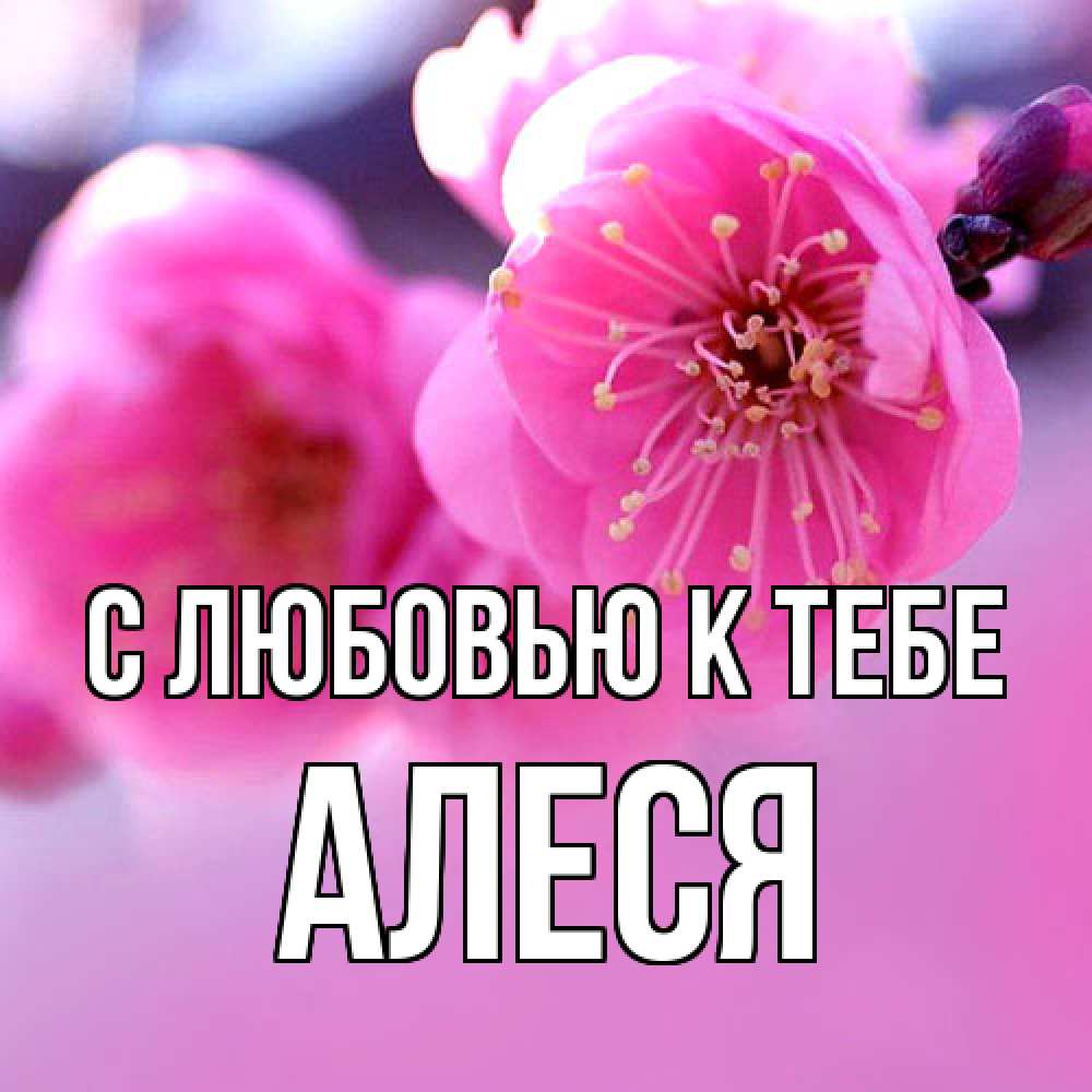 Открытка  с именем. Алеся, С любовью к тебе  
