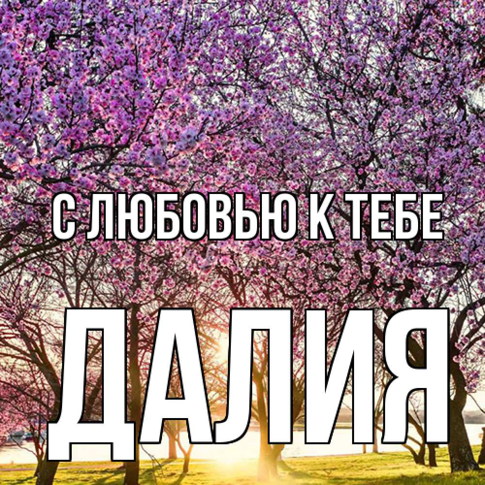 Открытка  с именем. Далия, С любовью к тебе  