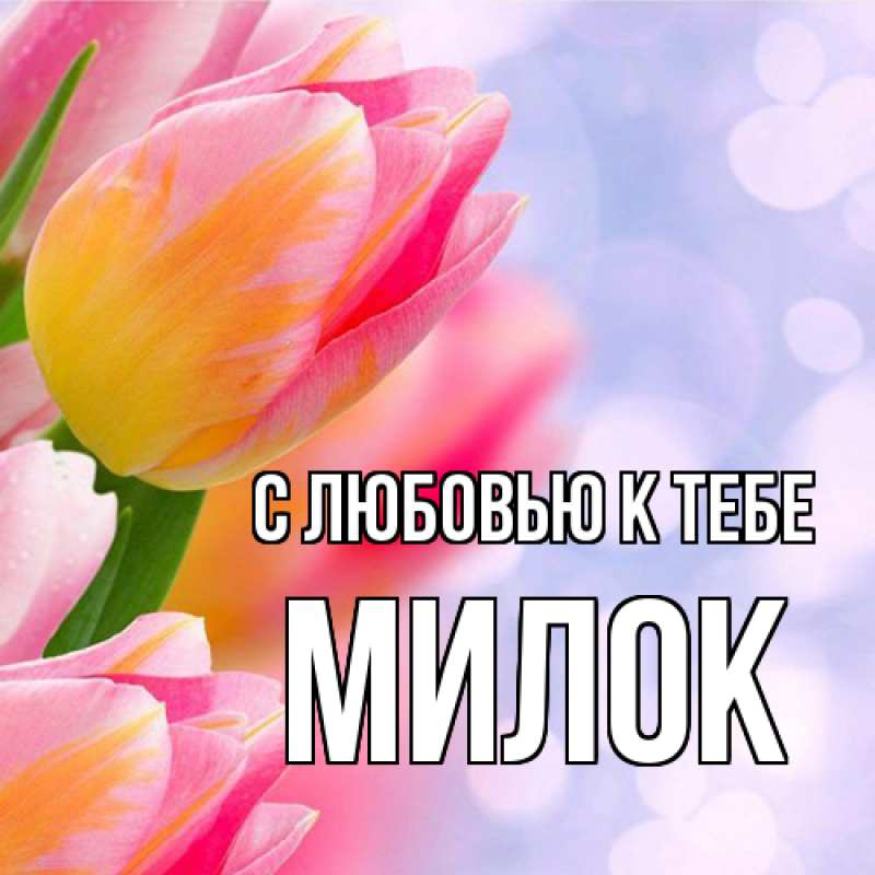 Картинка С любовью к тебе, Милок