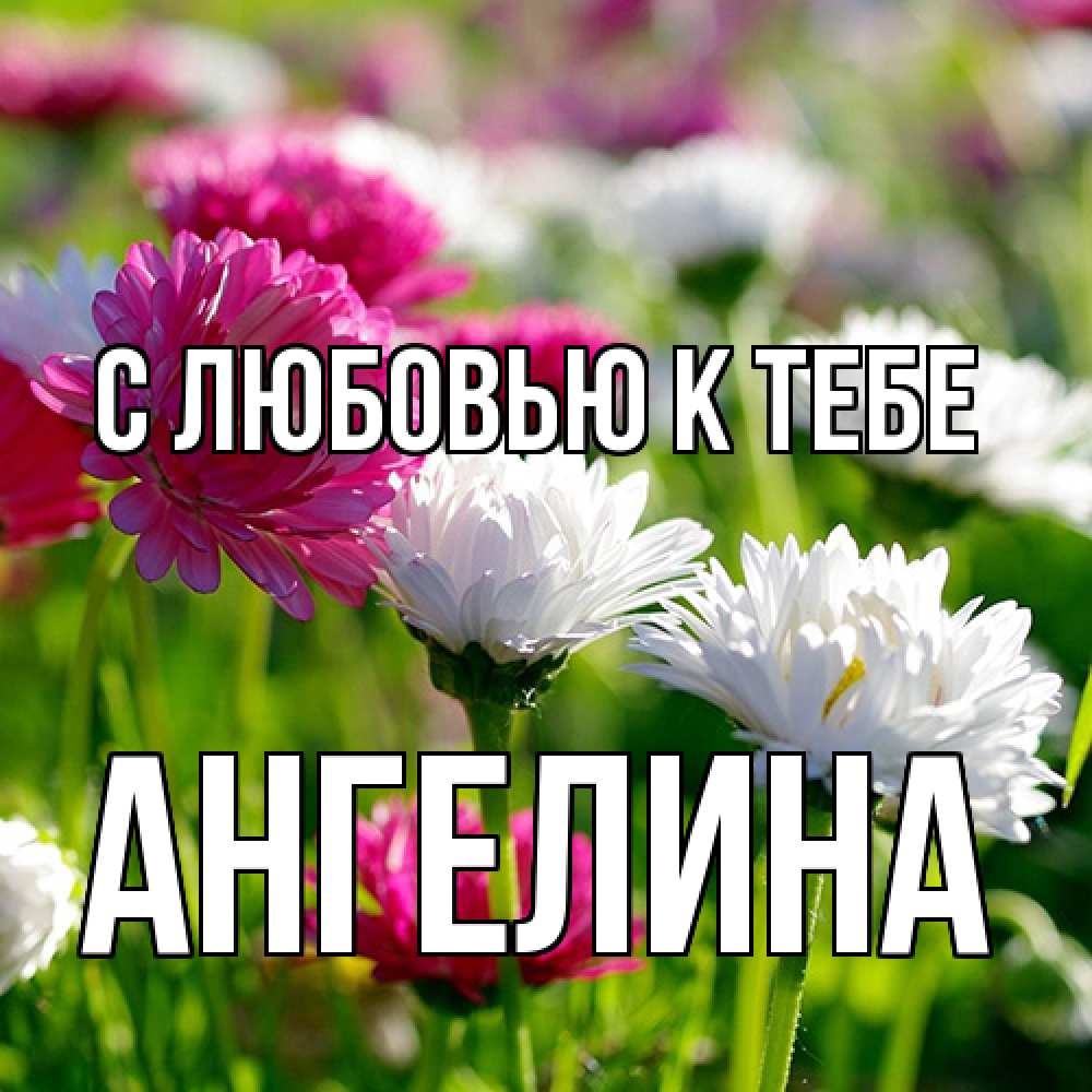 Открытка  с именем. Ангелина, С любовью к тебе  