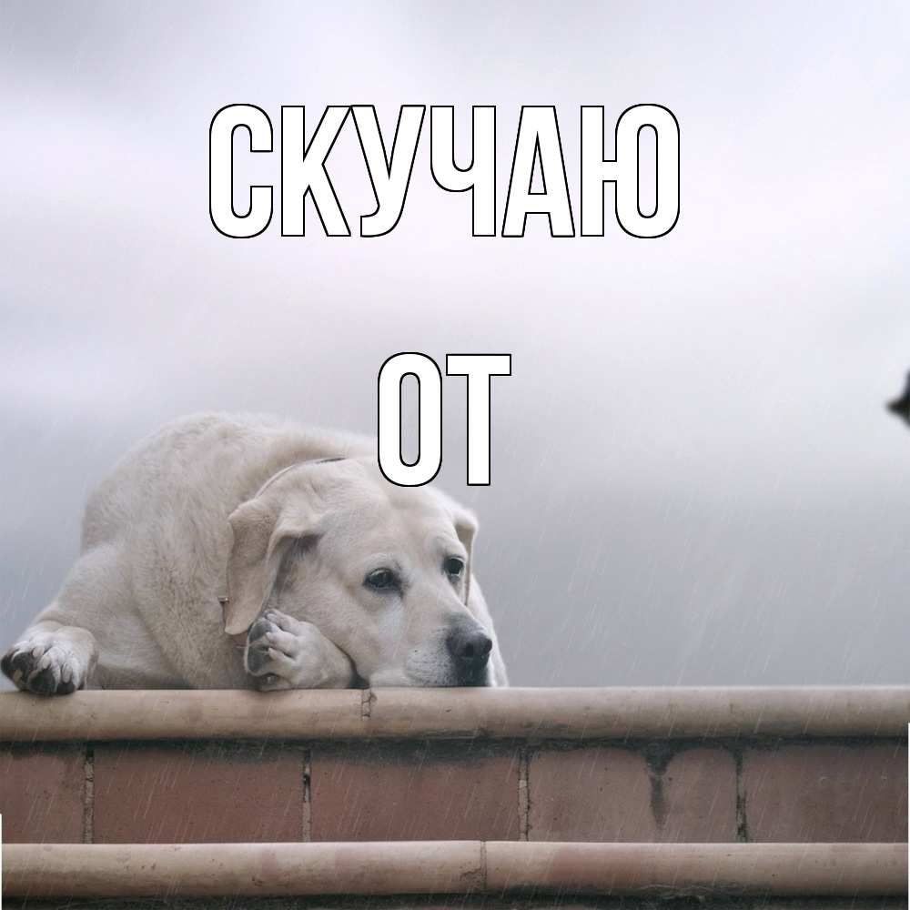 Открытка  с именем. От, Скучаю  