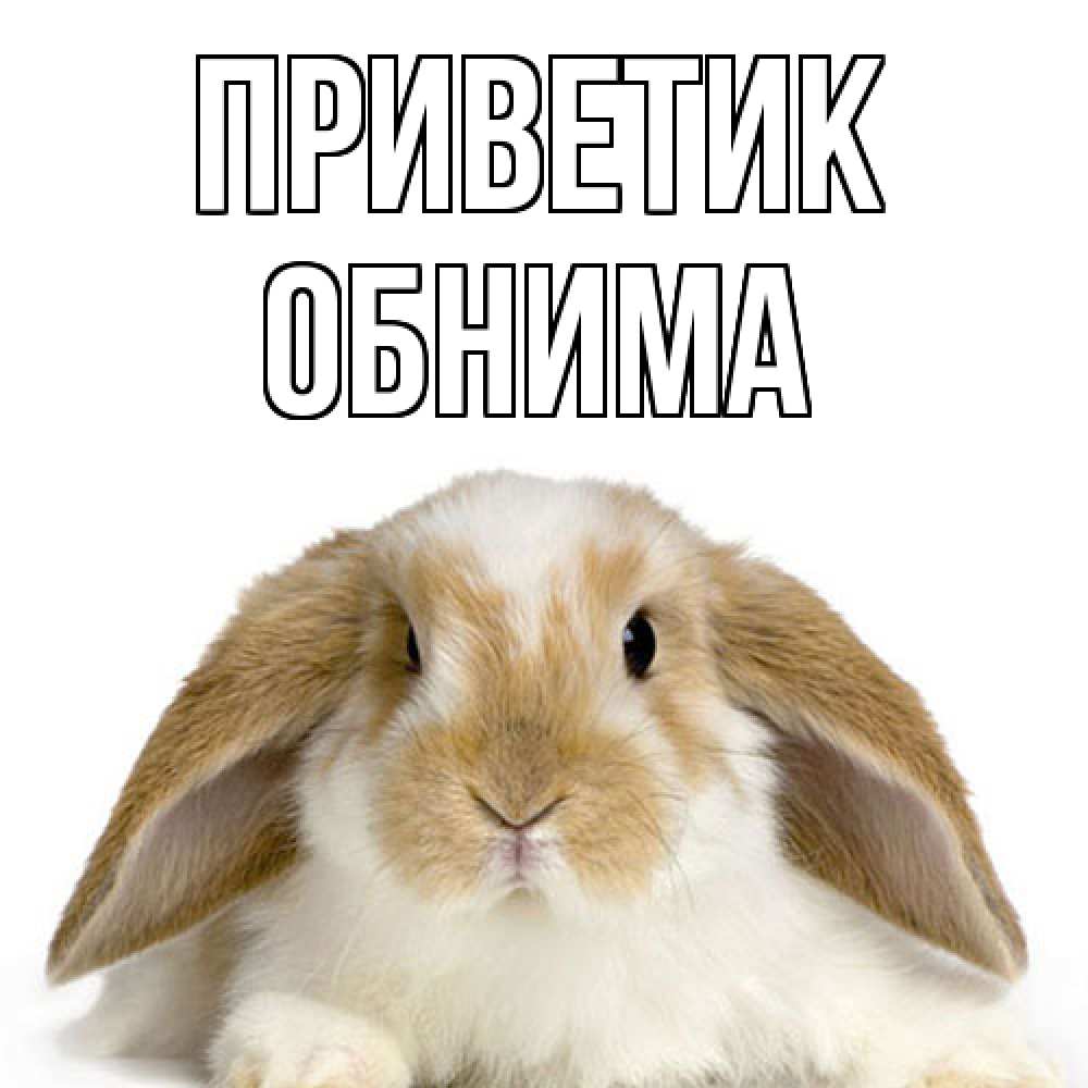 Открытка  с именем. Обнима, приветик  