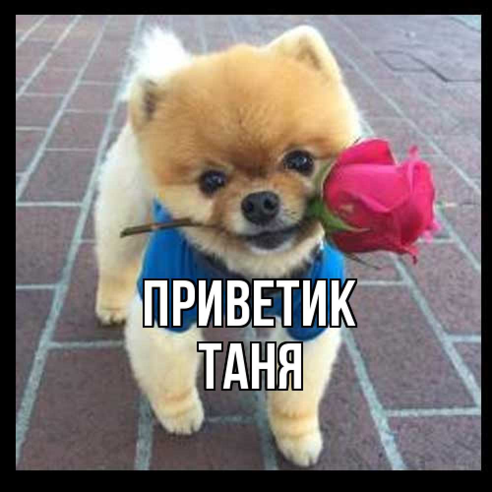 Открытка  с именем. Таня, приветик  