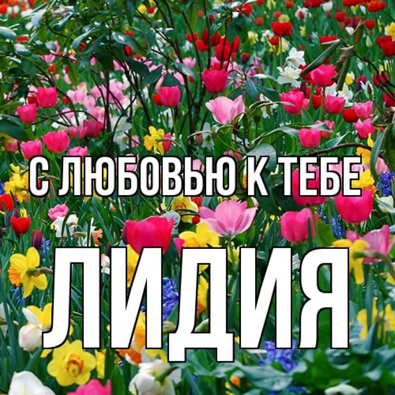 Картинка С любовью к тебе, лидия