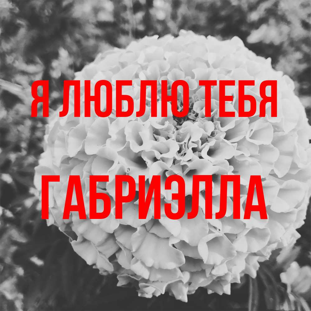 Открытка  с именем. Габриэлла, Я люблю тебя  