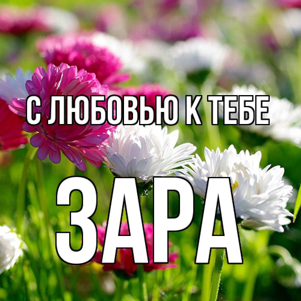 Открытка  с именем. Зара, С любовью к тебе  