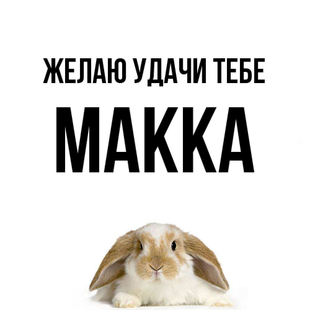 Открытка  с именем. Макка, Желаю удачи тебе  