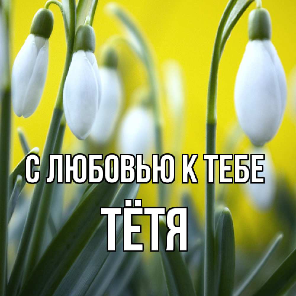 Открытка  с именем. Тётя, С любовью к тебе  