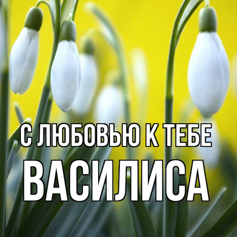 Картинка С любовью к тебе, Василиса