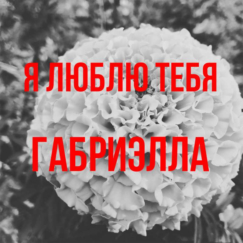 Картинка Я люблю тебя, Габриэлла