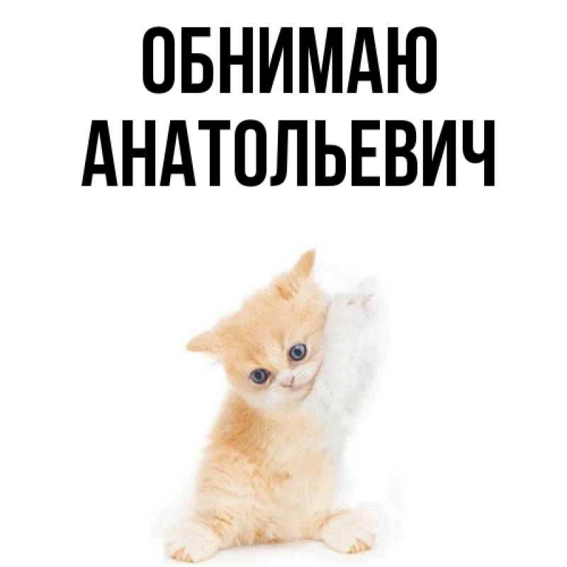 Картинка Обнимаю, Анатольевич