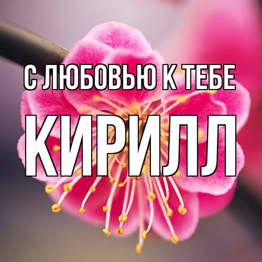 Открытка  с именем. Кирилл, С любовью к тебе  