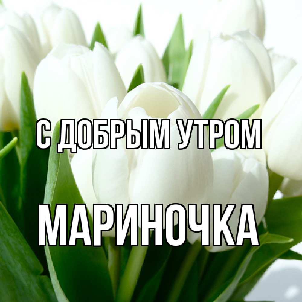 Открытка  с именем. Мариночка, С добрым утром  