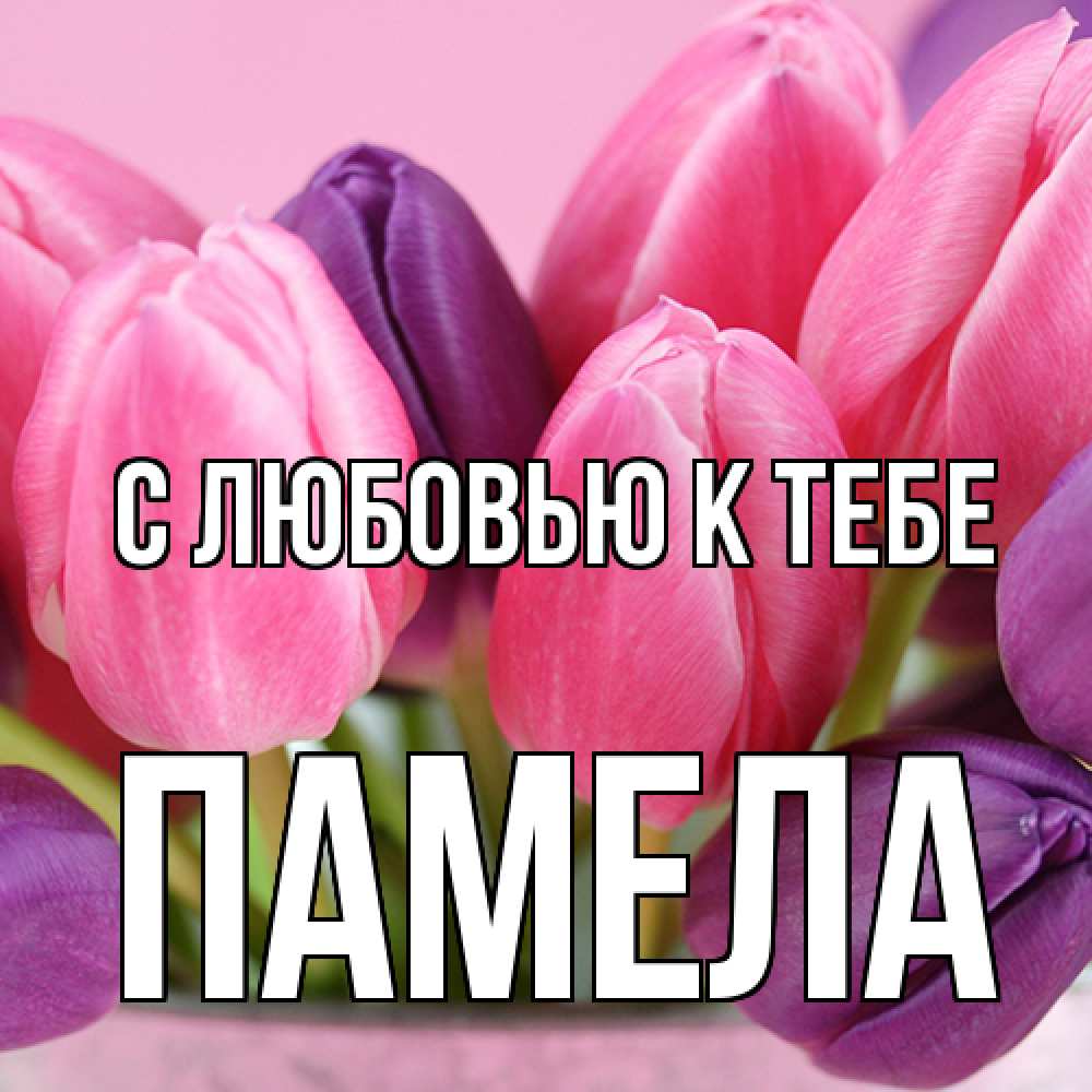 Открытка  с именем. Памела, С любовью к тебе  