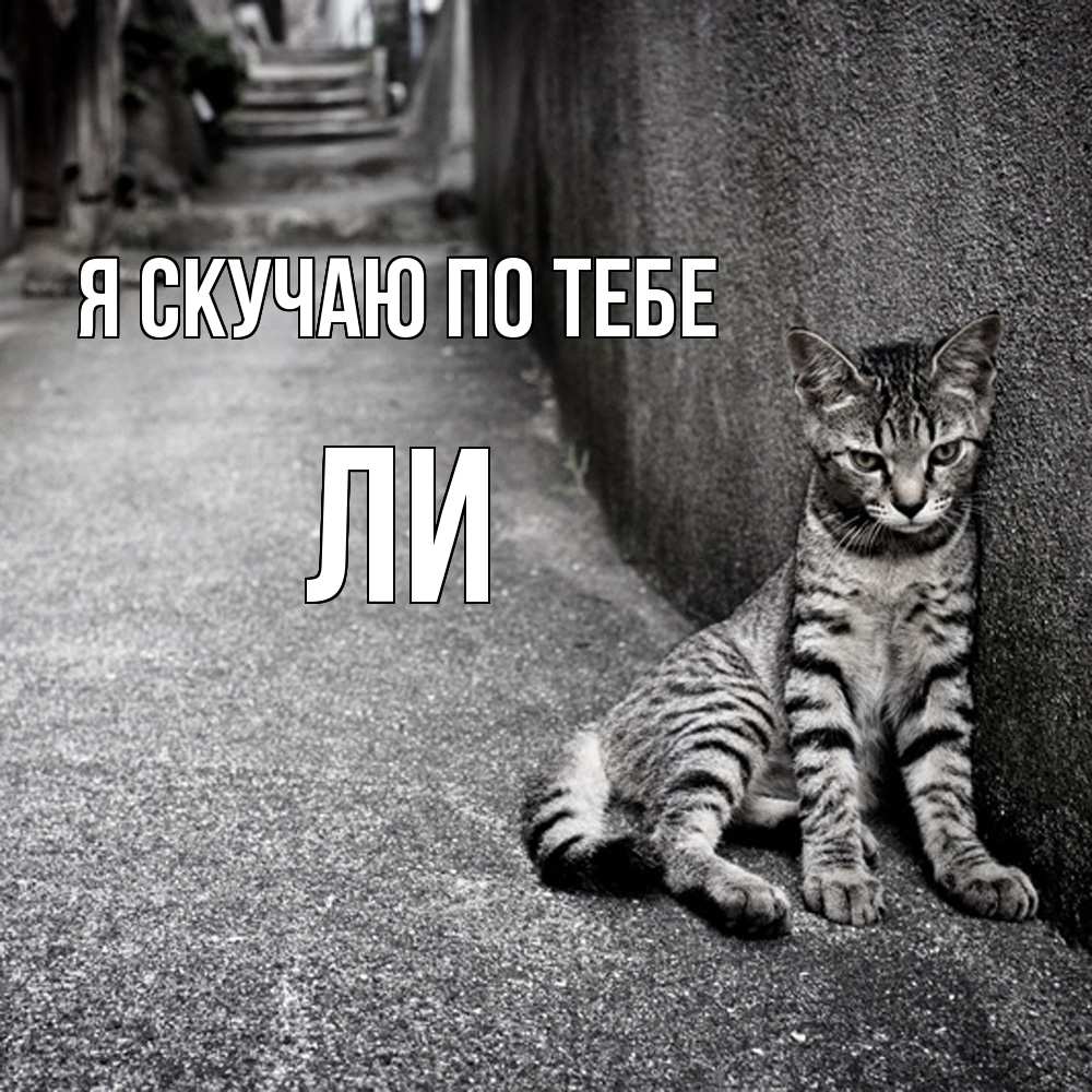 Открытка  с именем. Ли, Я скучаю по тебе  