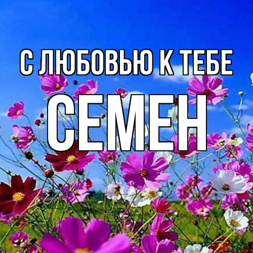 Открытка  с именем. Семен, С любовью к тебе  