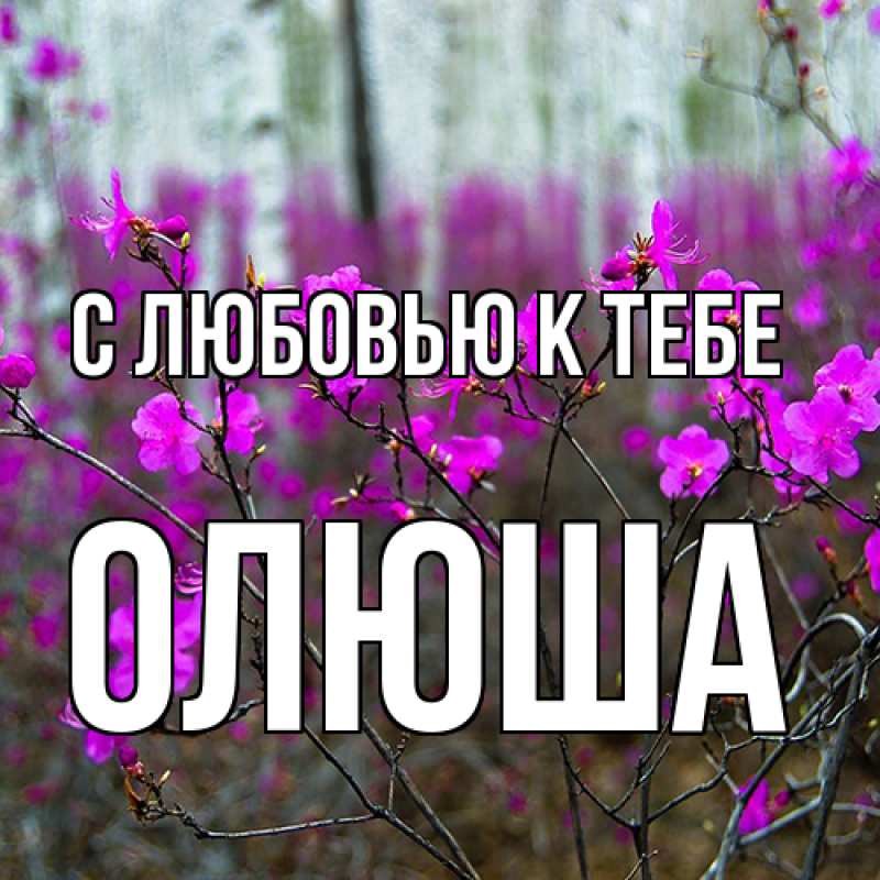 Картинка С любовью к тебе, Олюша