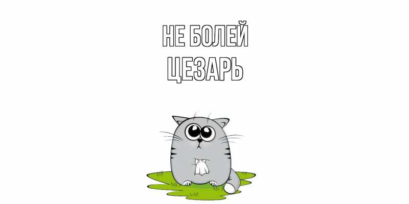 Картинка Не болей, Цезарь