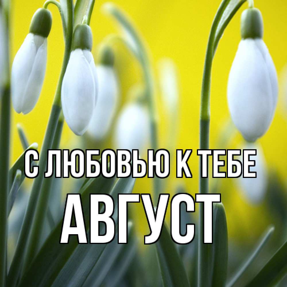Открытка  с именем. Август, С любовью к тебе  