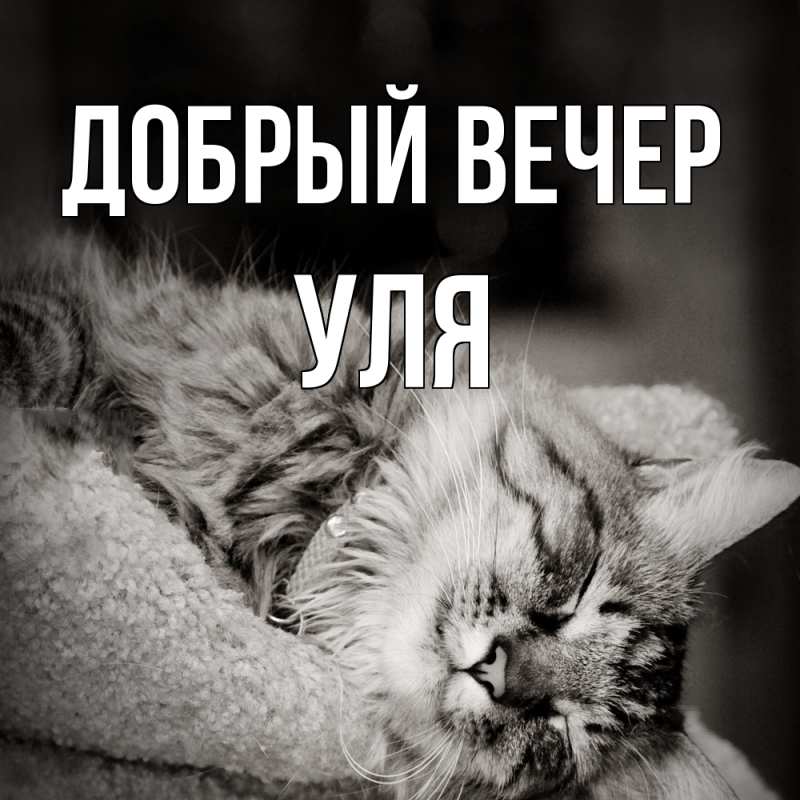 Картинка Добрый вечер, Уля