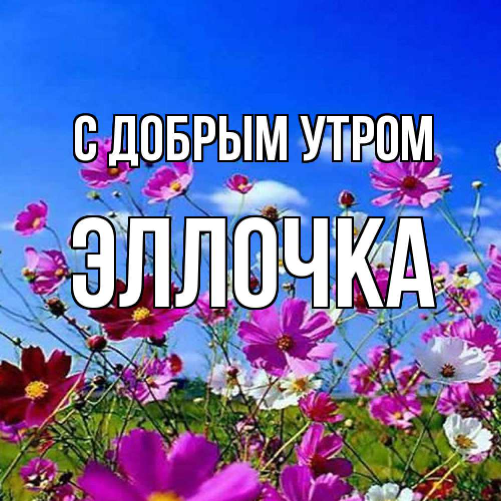 Открытка  с именем. Эллочка, С добрым утром  