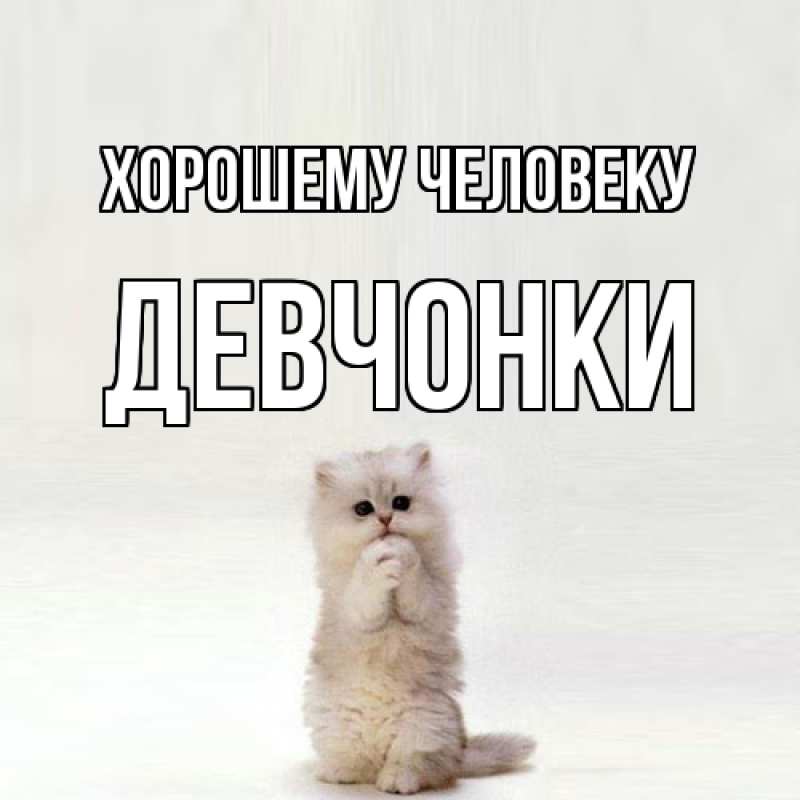 Картинка Хорошему человеку, Девчонки