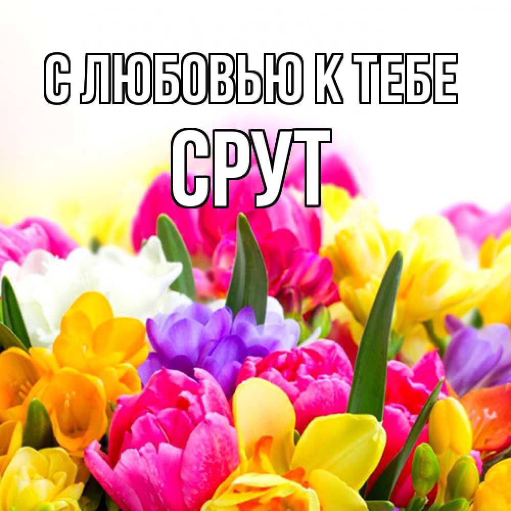 Открытка  с именем. срут, С любовью к тебе  