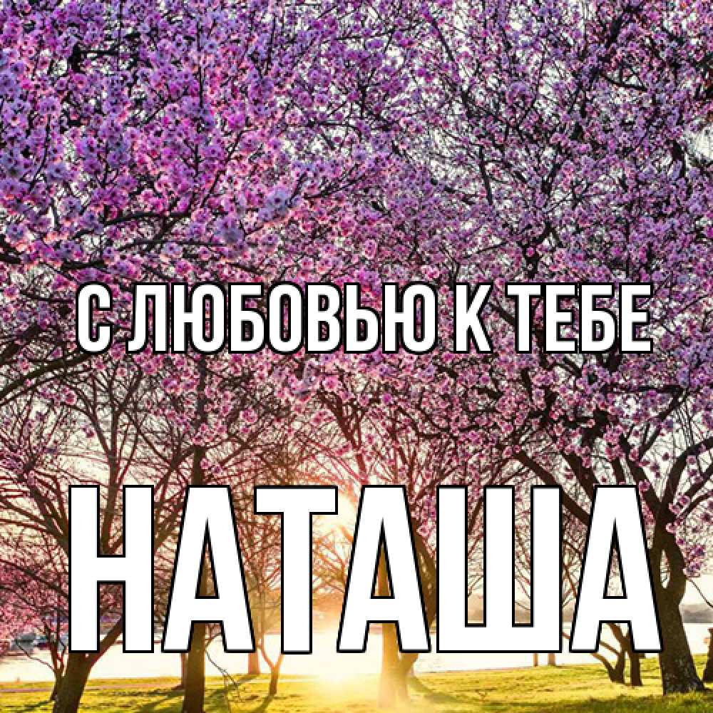 Открытка  с именем. Наташа, С любовью к тебе  