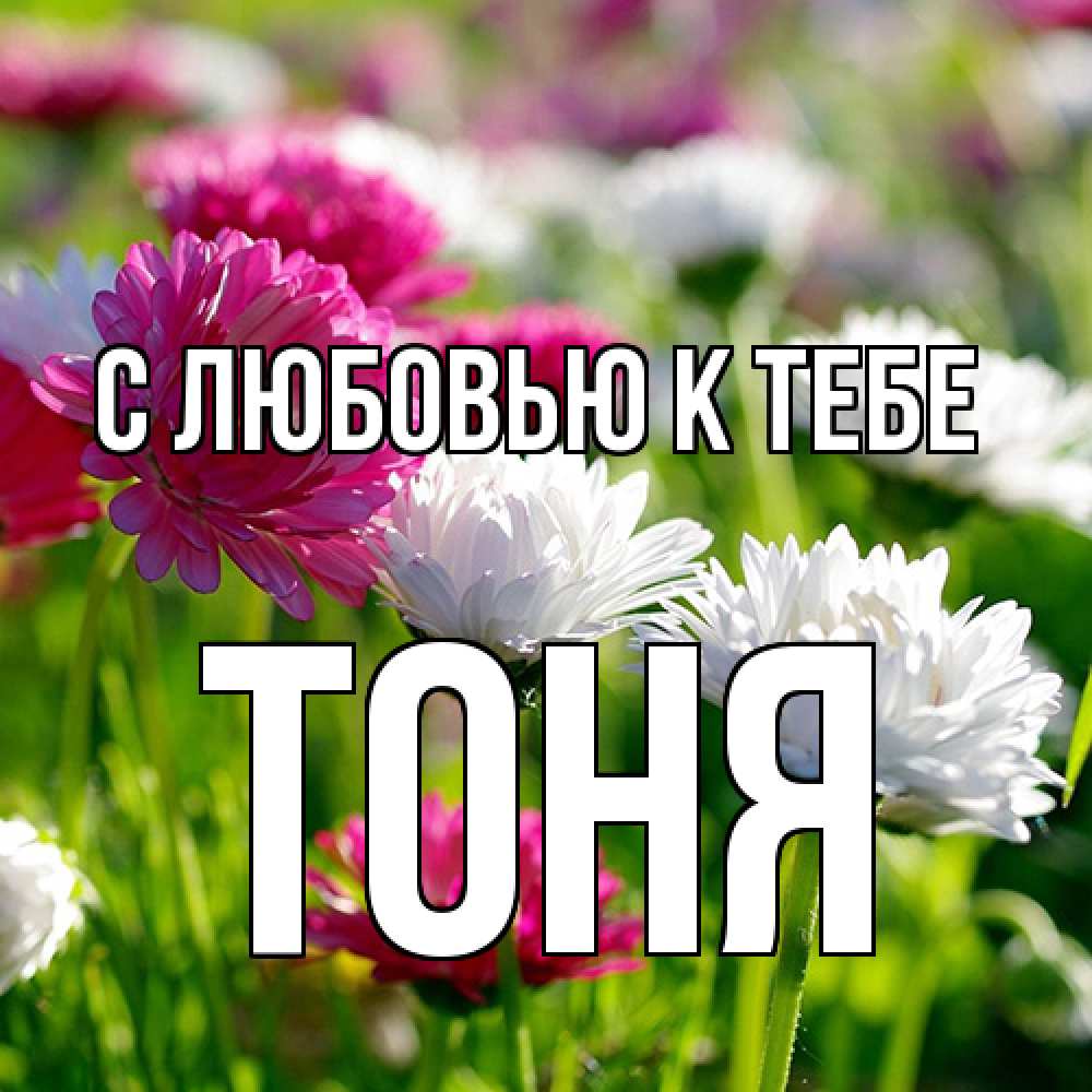 Открытка  с именем. Тоня, С любовью к тебе  