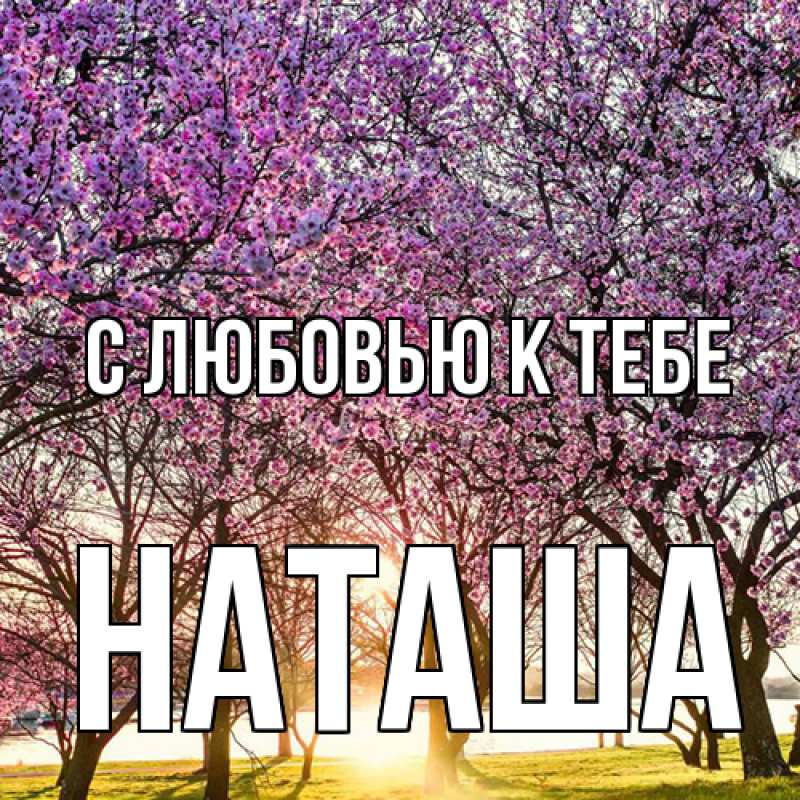 Картинка С любовью к тебе, Наташа