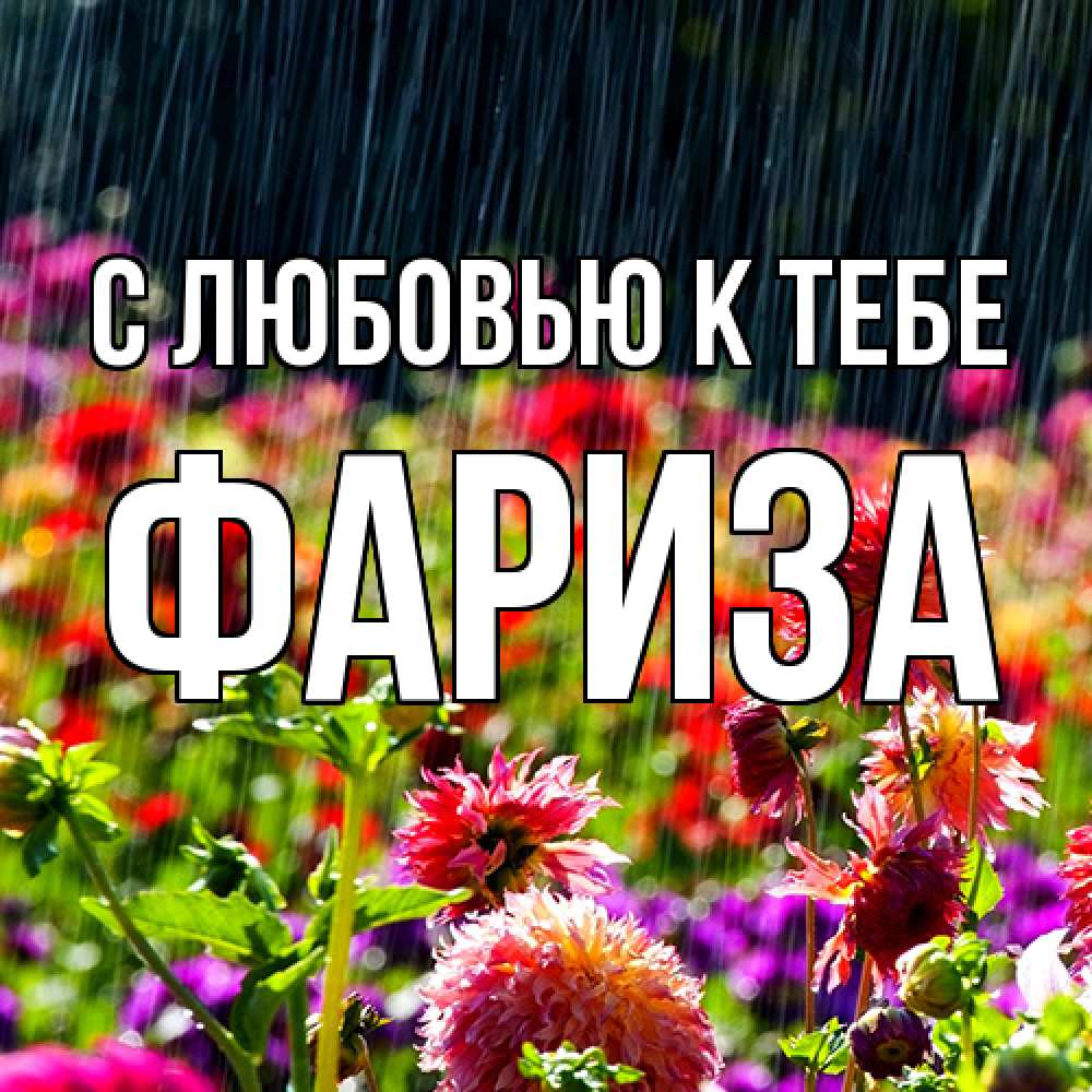 Открытка  с именем. Фариза, С любовью к тебе  