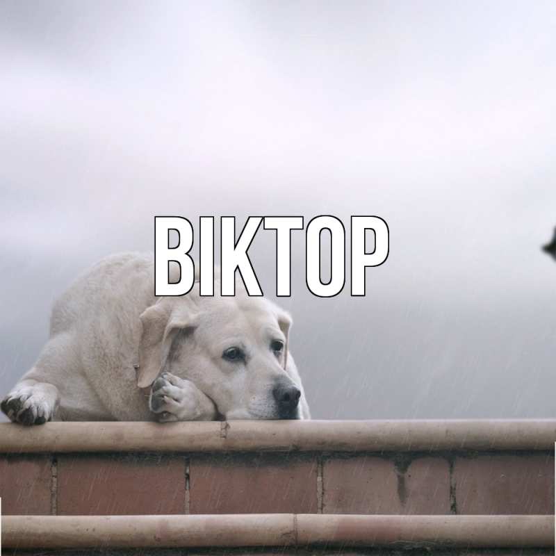 Картинка  с именем , Віктор