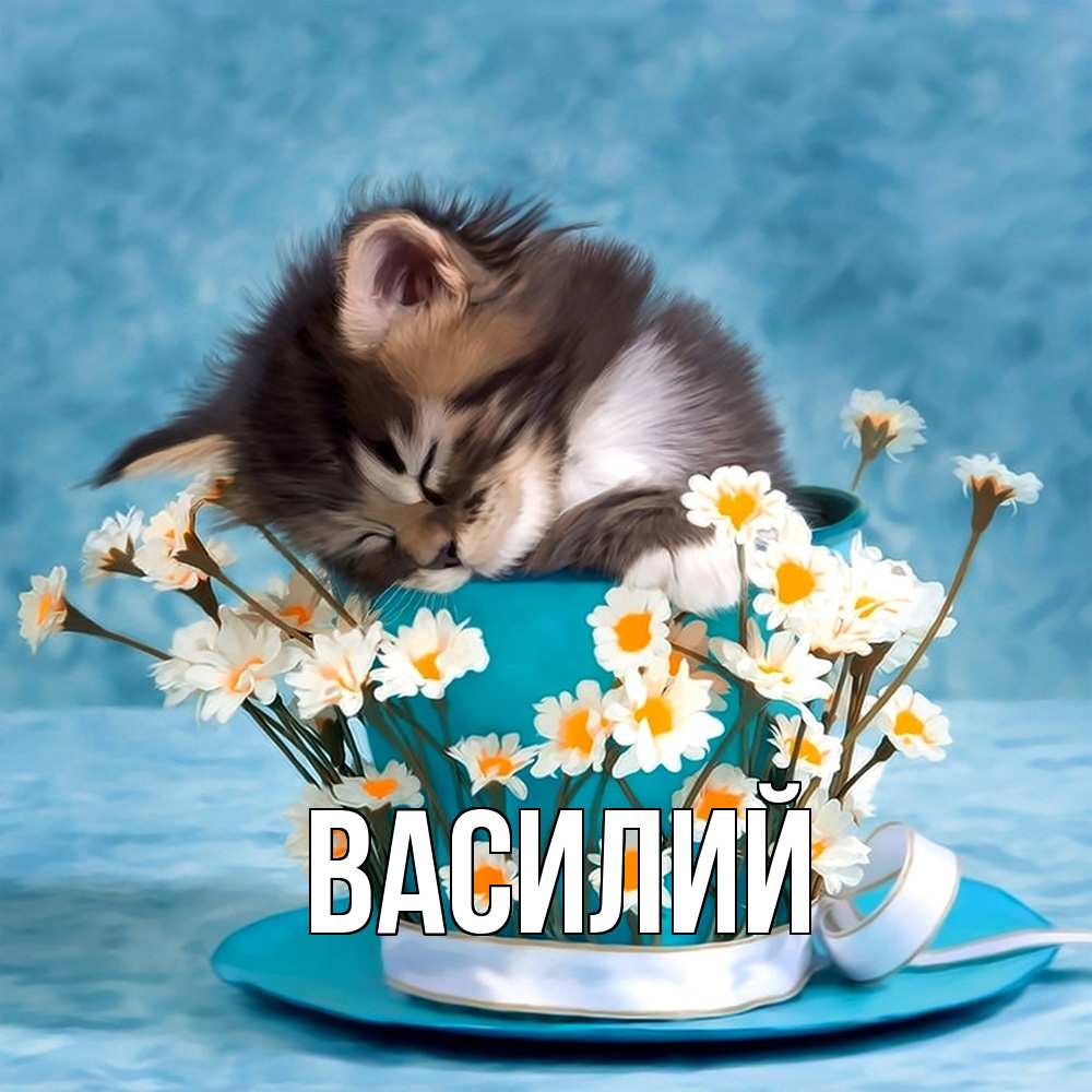 Открытка  с именем. Василий, Главная  