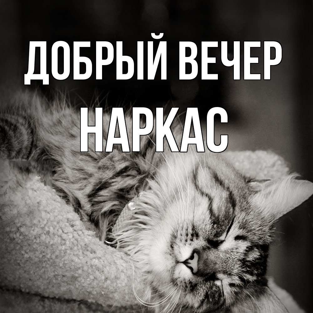 Открытка  с именем. Наркас, Добрый вечер  