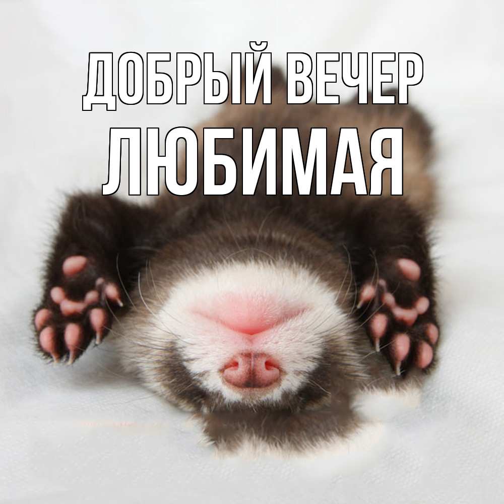 Открытка  с именем. Любимая, Добрый вечер  
