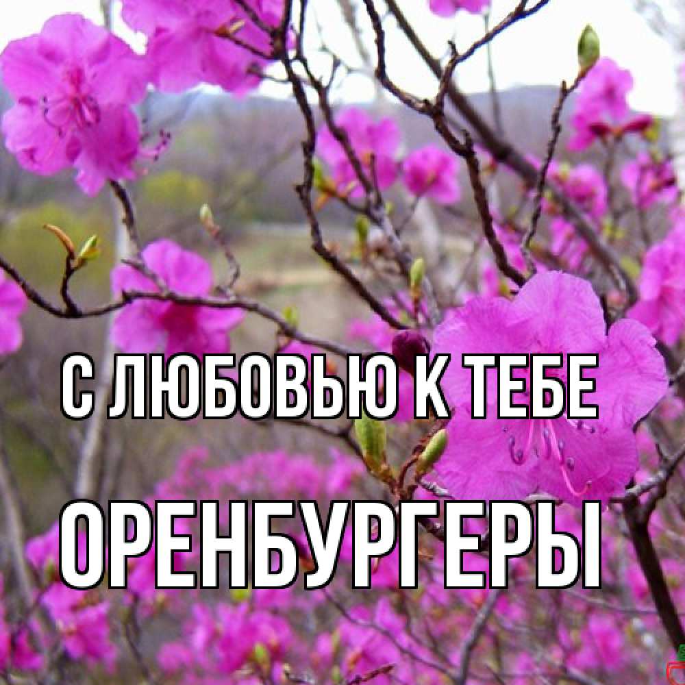 Открытка  с именем. Оренбургеры, С любовью к тебе  