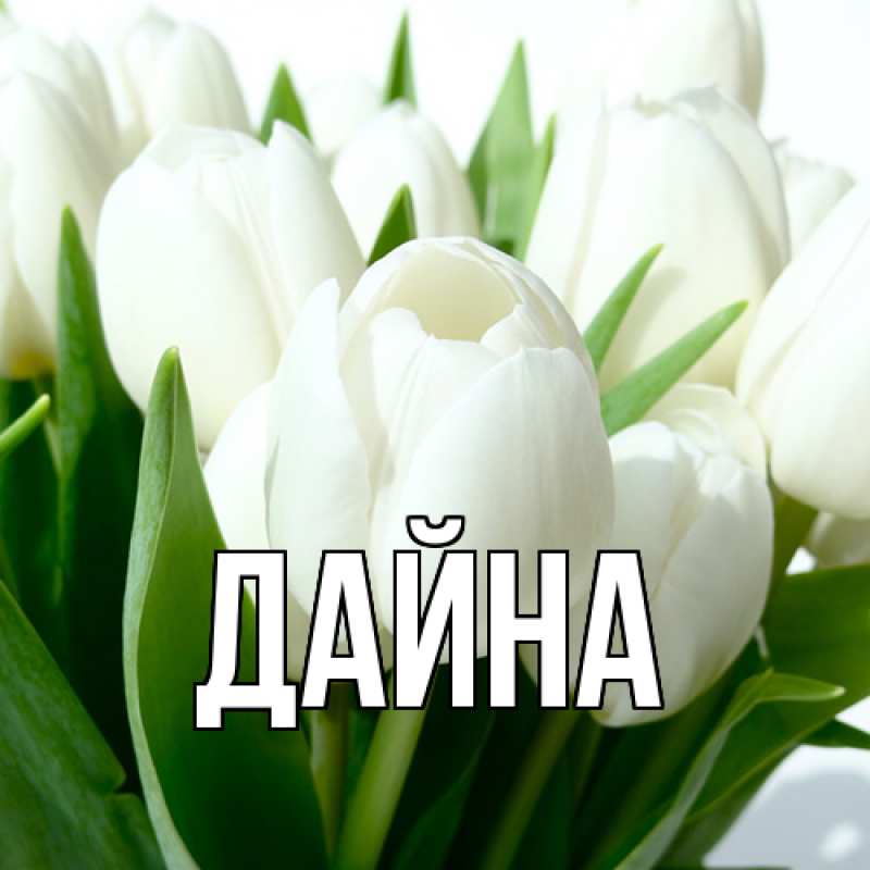 Картинка  с именем , Дайна