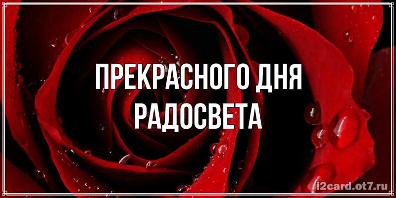 Открытка с именем, Радосвета, Прекрасного дня