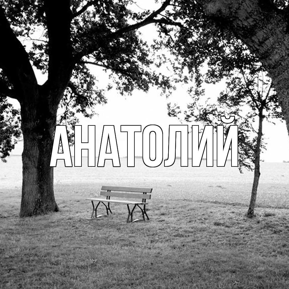 Открытка  с именем. Анатолий, Главная  