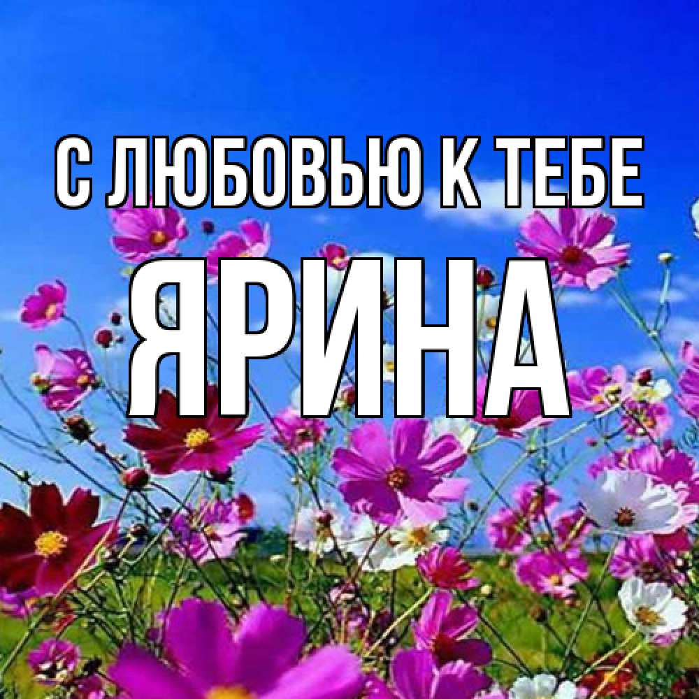 Открытка  с именем. Ярина, С любовью к тебе  