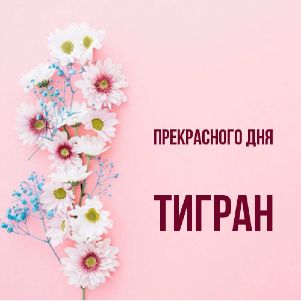 Открытка  с именем. Тигран, Прекрасного дня  