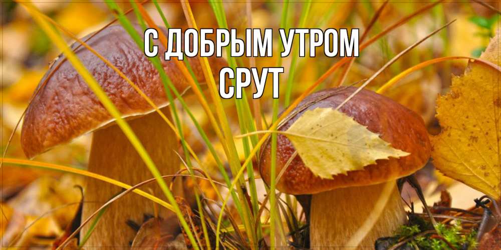Открытка  с именем. срут, С добрым утром  