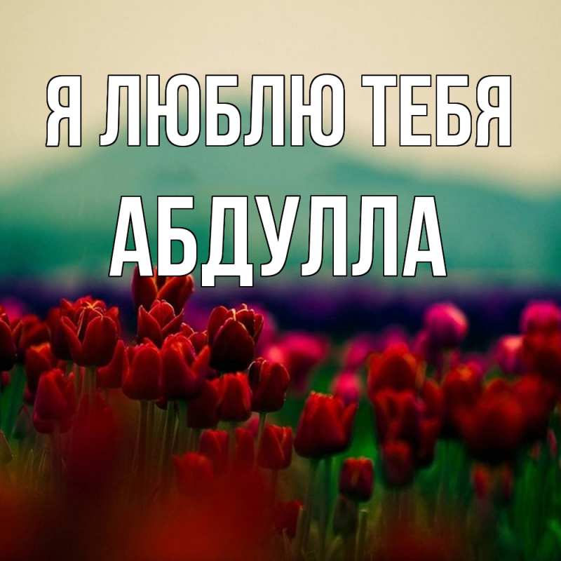 Картинка Я люблю тебя, Абдулла