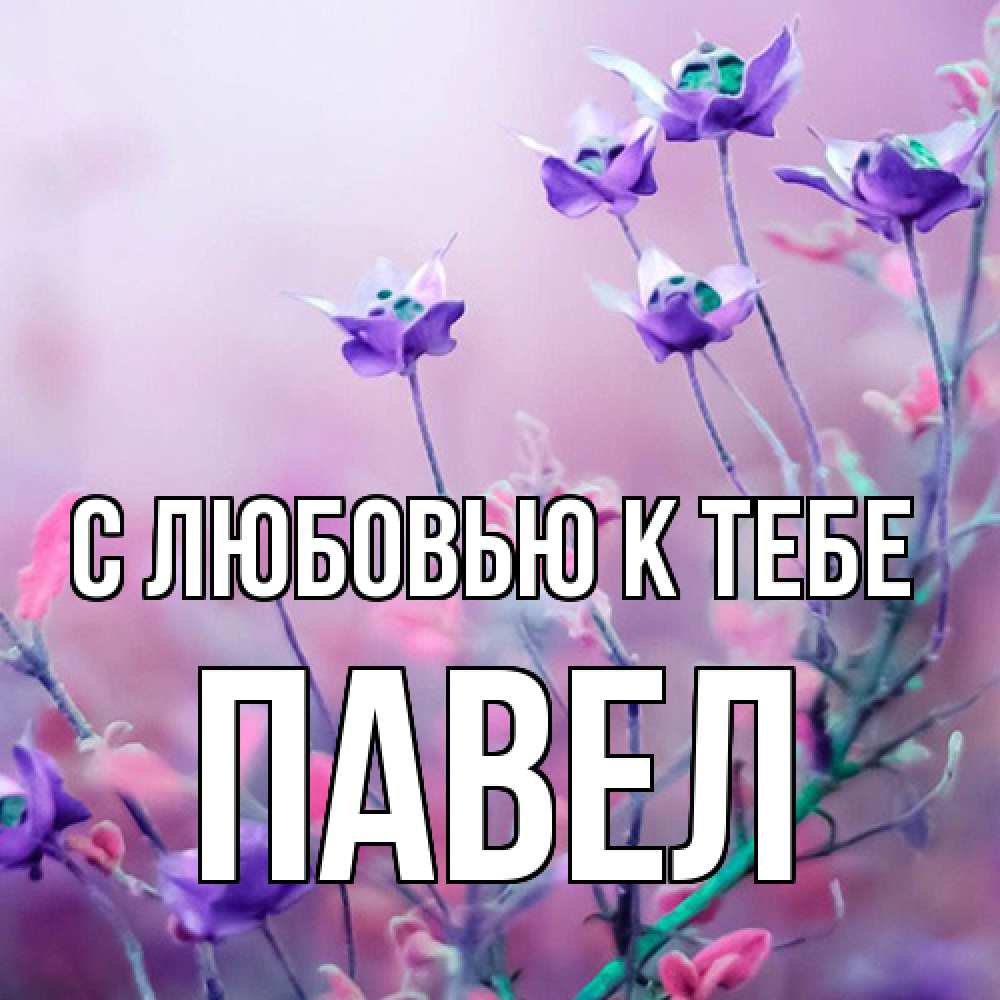 Открытка  с именем. Павел, С любовью к тебе  