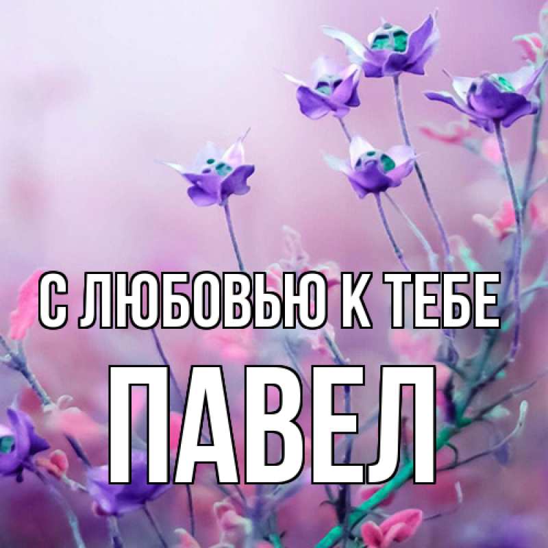 Картинка С любовью к тебе, Павел