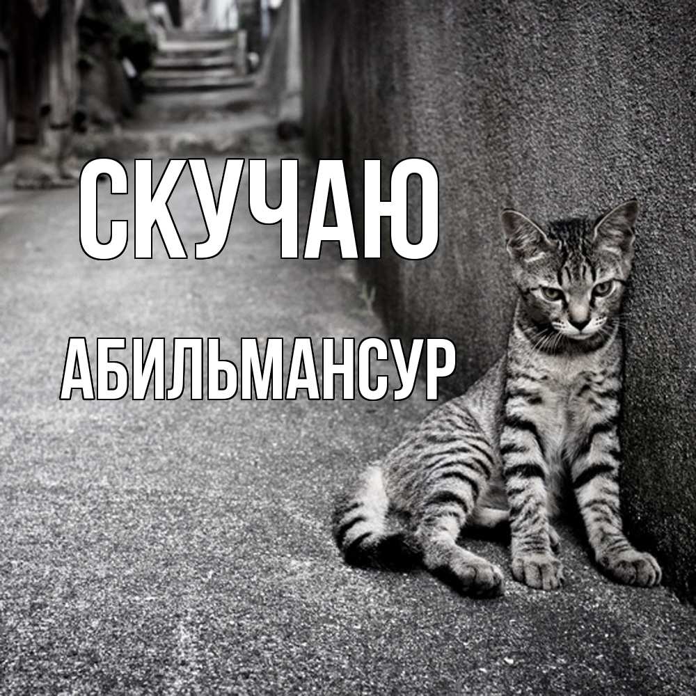 Открытка  с именем. Абильмансур, Скучаю  