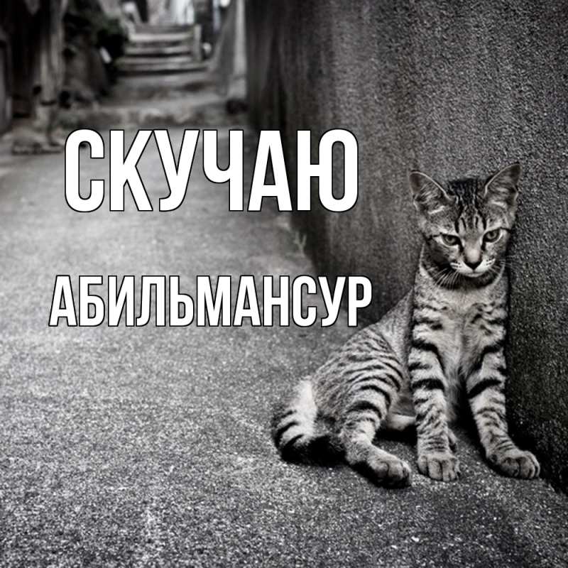 Картинка Скучаю, Абильмансур
