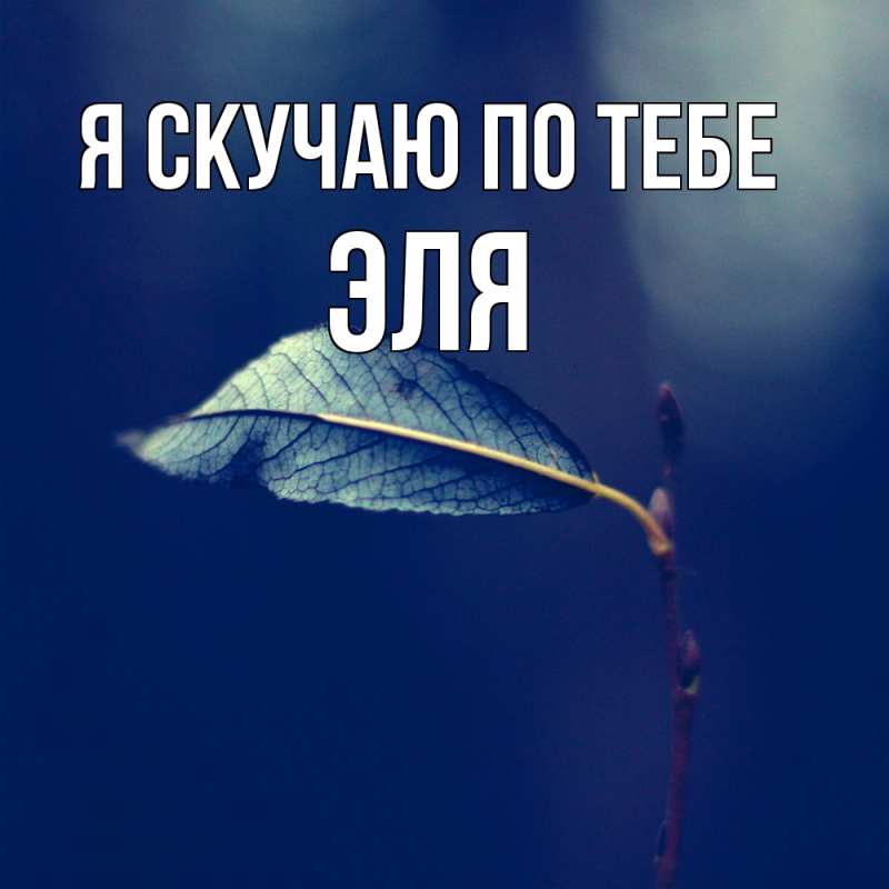 Картинка Я скучаю по тебе, Эля